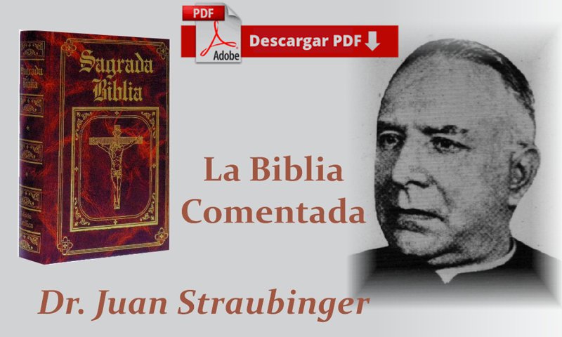 Biblia Straubinger completa Biblia Straubinger completa